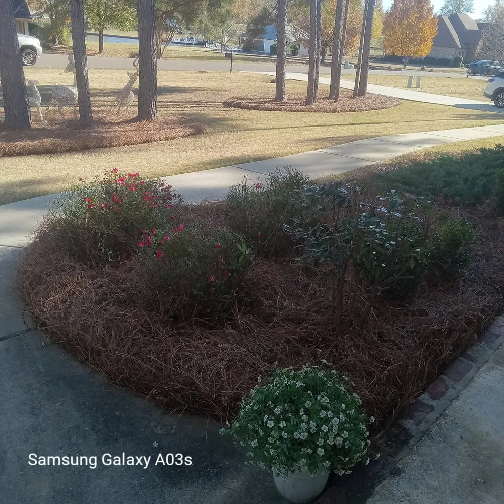 Expert landscaping services in Madison, MS by Over The Top Lawn Care