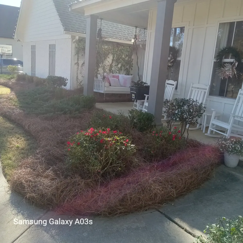 Expert lawn care service experts serving Madison, MS - Over The Top Lawn Care