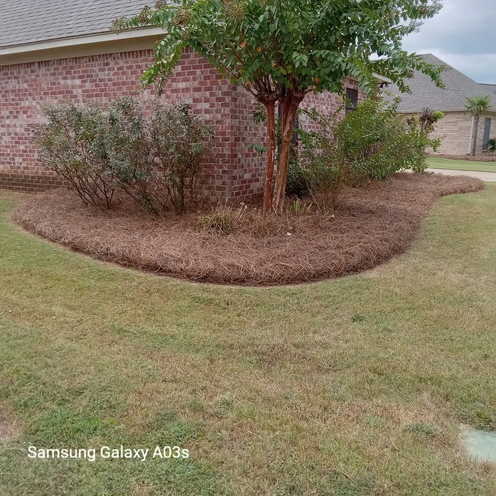 Expert yard maintenance experts serving Madison, MS - Over The Top Lawn Care