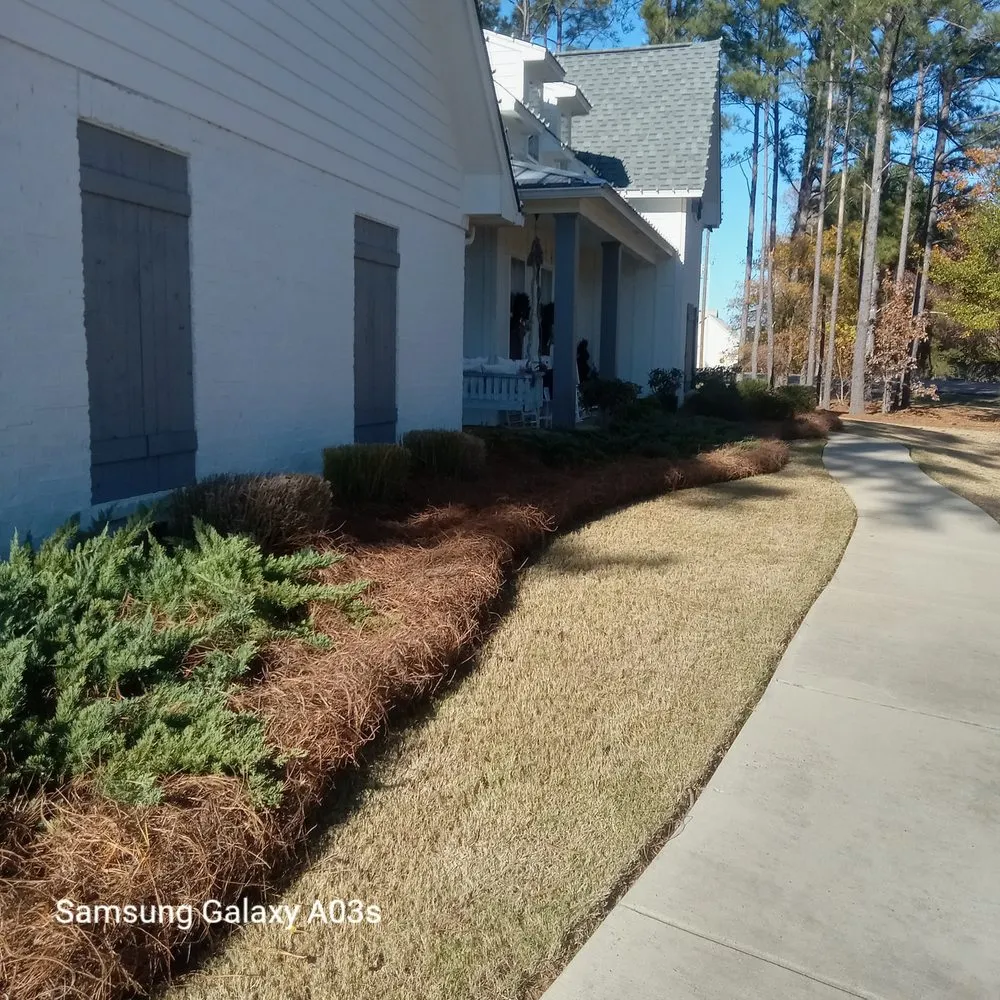 Custom landscaping services experts serving Madison, MS - Over The Top Lawn Care