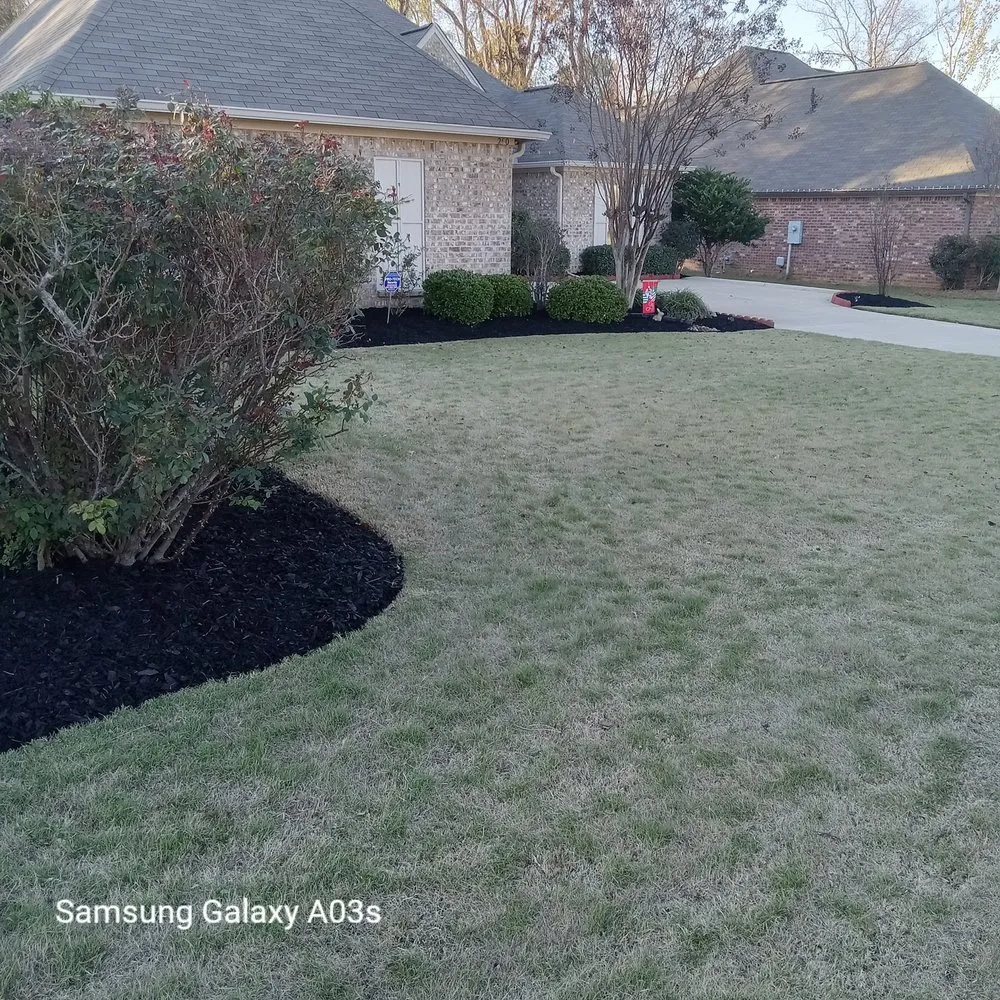 Professional yard cleanup service near you in Madison, MS by Over The Top Lawn Care