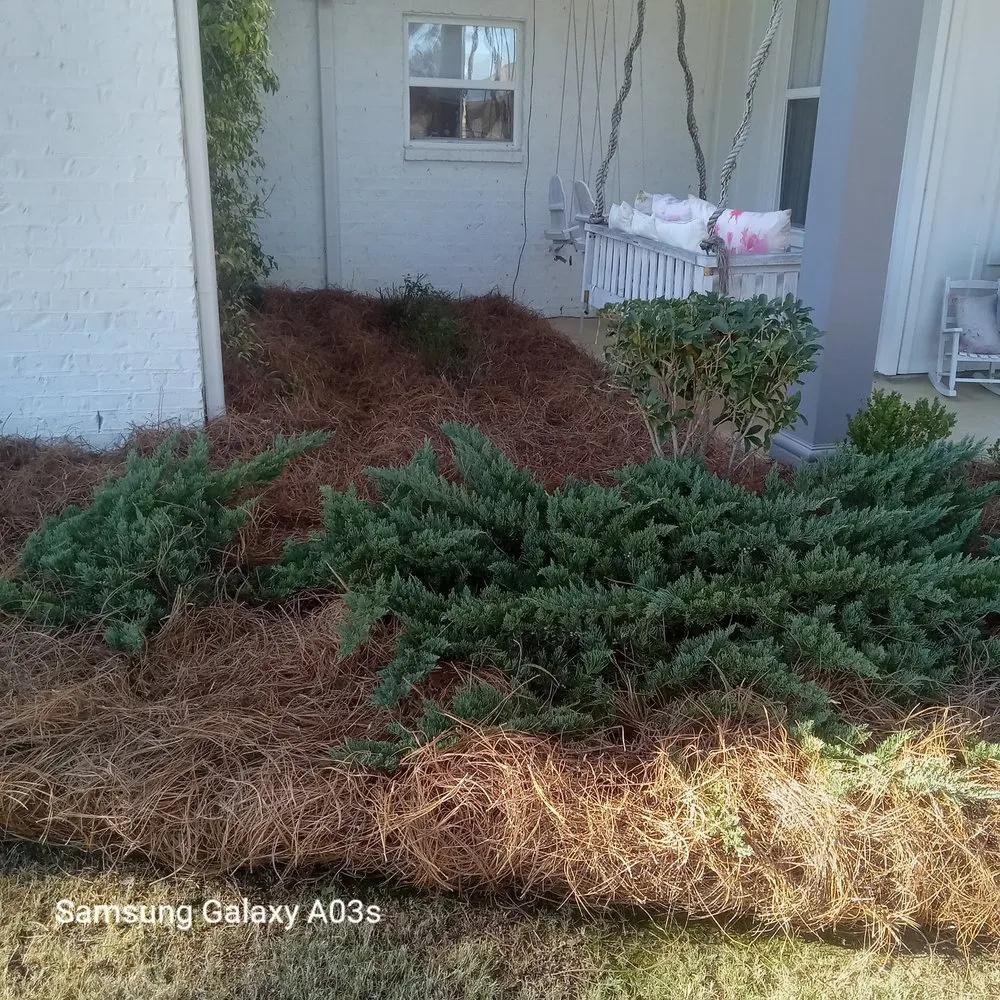 Custom garden landscaping for outdoor upgrades across Madison, MS - Over The Top Lawn Care