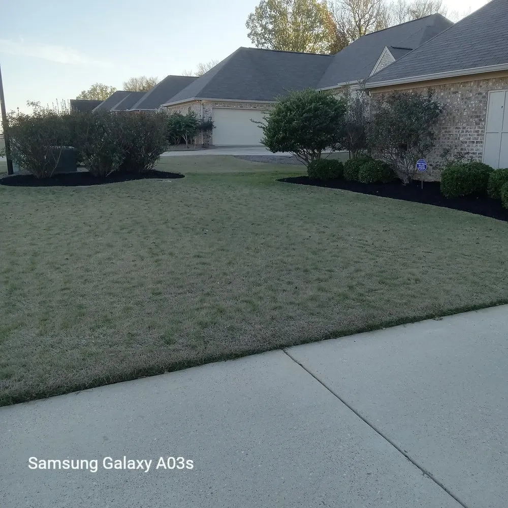 Reliable yard maintenance in Madison, MS - Over The Top Lawn Care