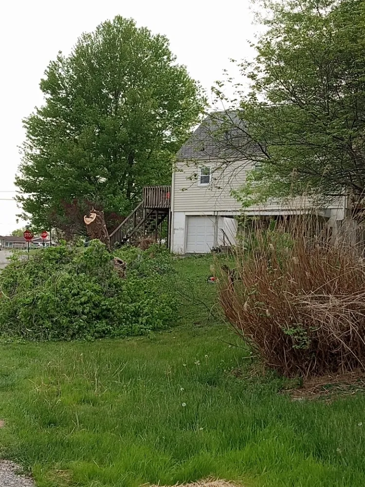 Reliable landscaping services experts serving Frankfort, KY - Over The Top Tree Service