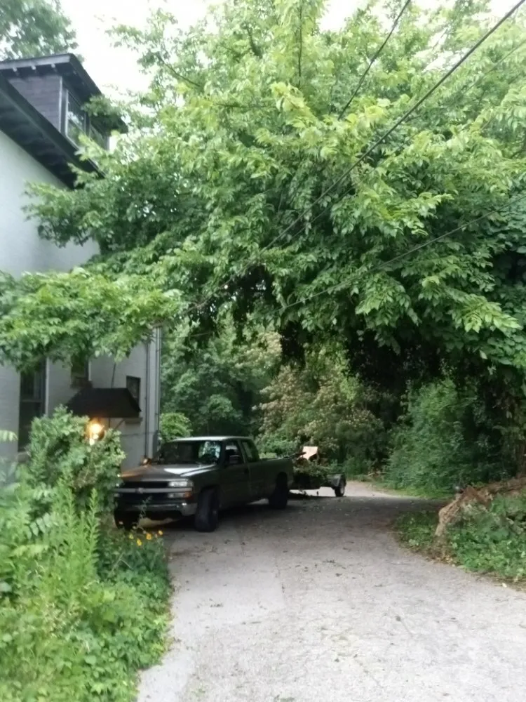 Professional residential landscaping for year-round maintenance in Frankfort, KY by Over The Top Tree Service