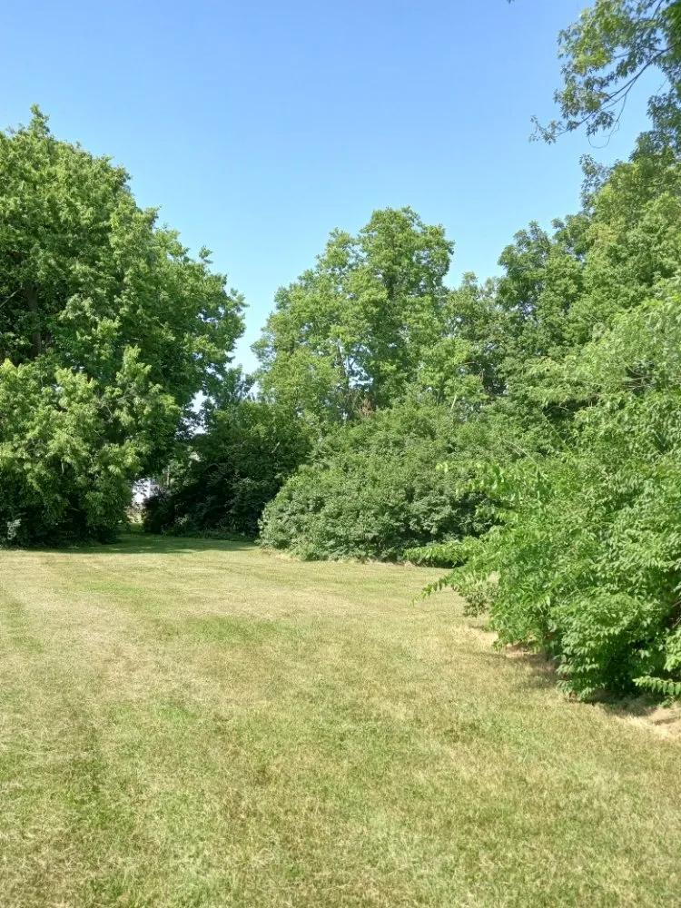 Custom garden landscaping in Frankfort, KY by Over The Top Tree Service