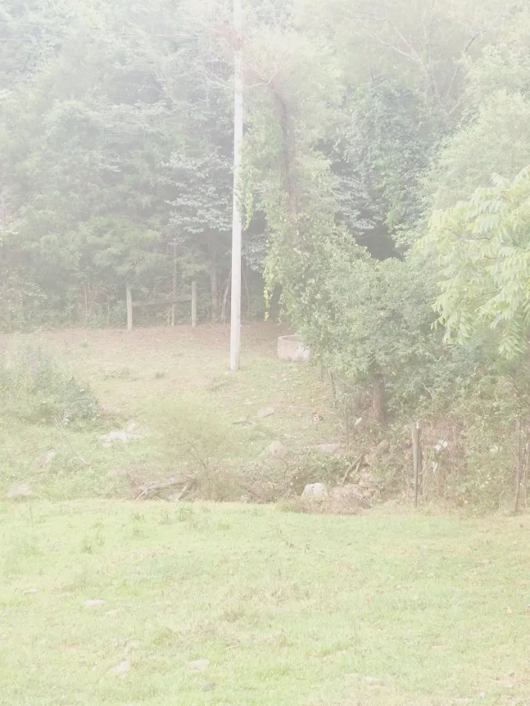 Expert residential landscaping near you across Frankfort, KY - Over The Top Tree Service