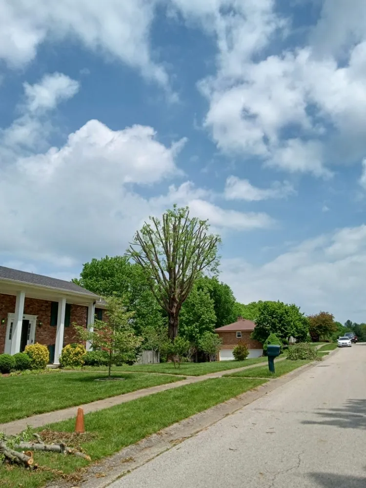 Trusted lawn mowing service in Frankfort, KY by Over The Top Tree Service