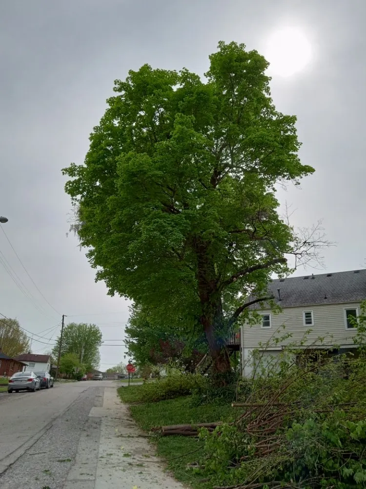 Affordable garden landscaping experts serving Frankfort, KY - Over The Top Tree Service