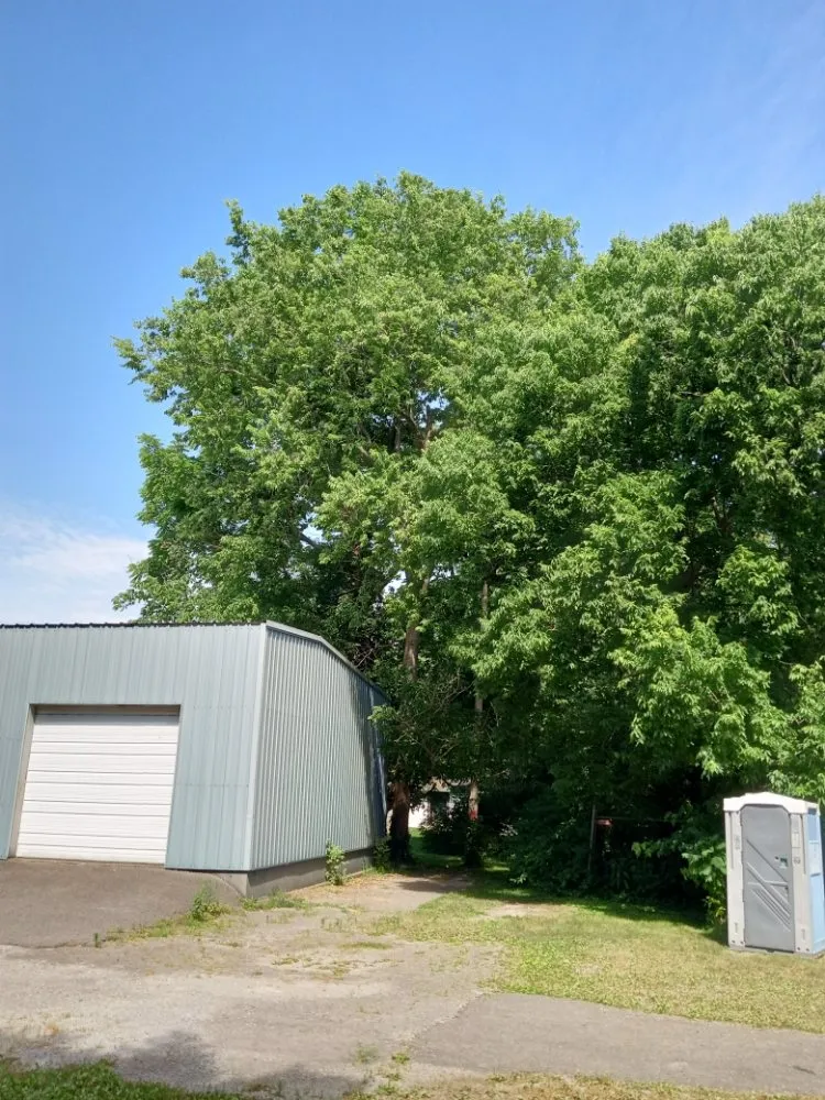 Affordable lawn mowing service for year-round maintenance in Frankfort, KY by Over The Top Tree Service