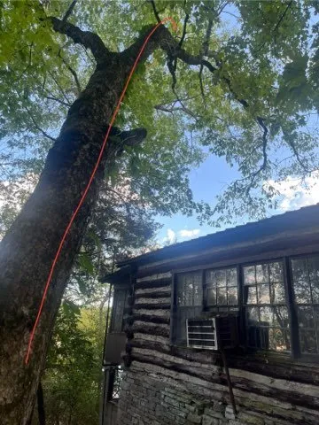 Local residential landscaping with custom design in Frankfort, KY by Over The Top Tree Service