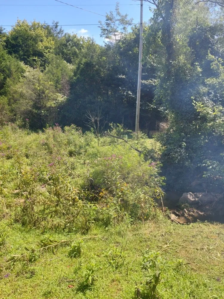 Affordable landscaping services for homes across Frankfort, KY - Over The Top Tree Service