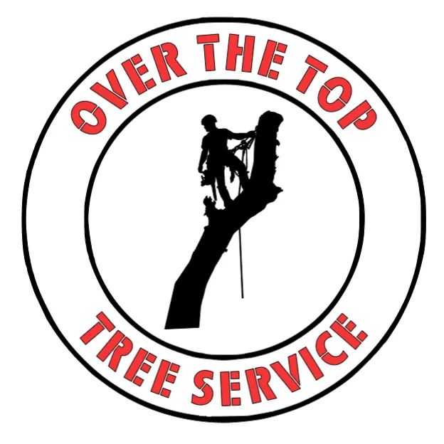Custom yard cleanup service experts serving Huntsville, AR - Over The Top Tree Service