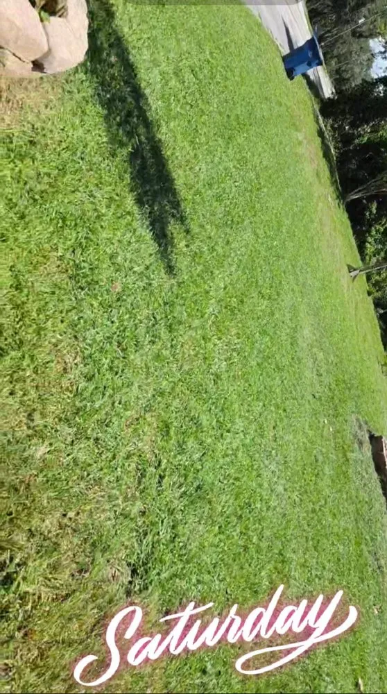 Local landscape design in DeLand, FL by Overall FL