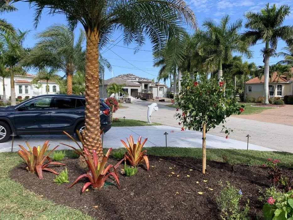 Reliable yard cleanup service experts serving Fort Myers, FL - Overall Outdoor Services