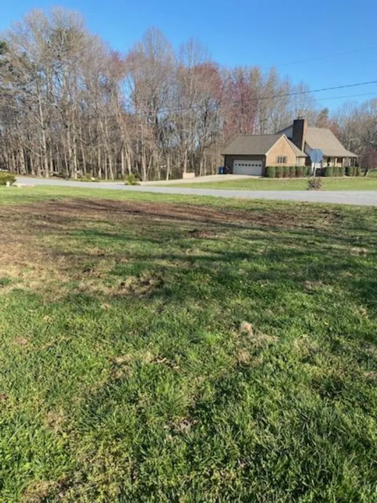 Professional lawn care service for homes across Newton, NC - Overdrive Clearing And Grading