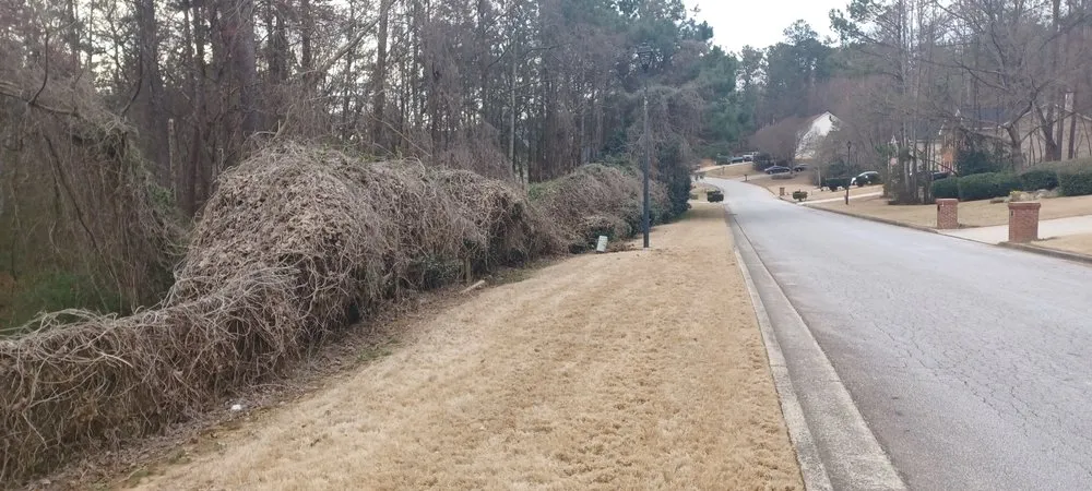 Top-rated yard cleanup service for residential properties in Norcross, GA by Overgrown Backyards
