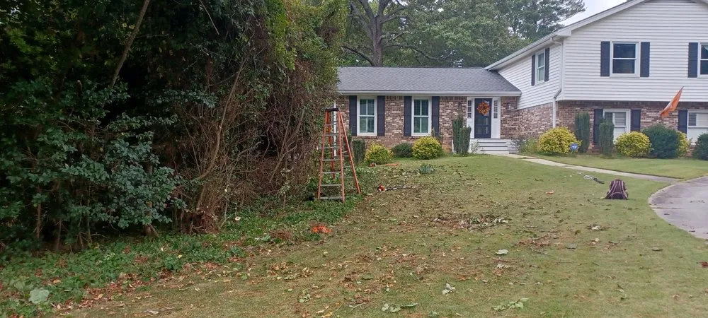 Local landscaping services for year-round maintenance across Norcross, GA - Overgrown Backyards
