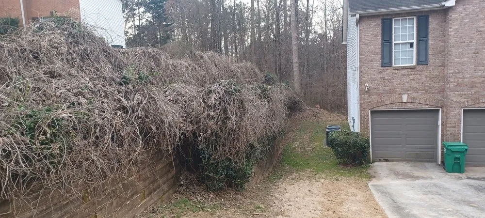 Local landscape design in Norcross, GA - Overgrown Backyards
