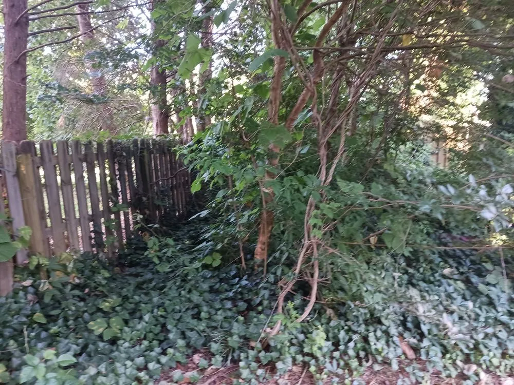 Local landscape installation in Norcross, GA by Overgrown Backyards