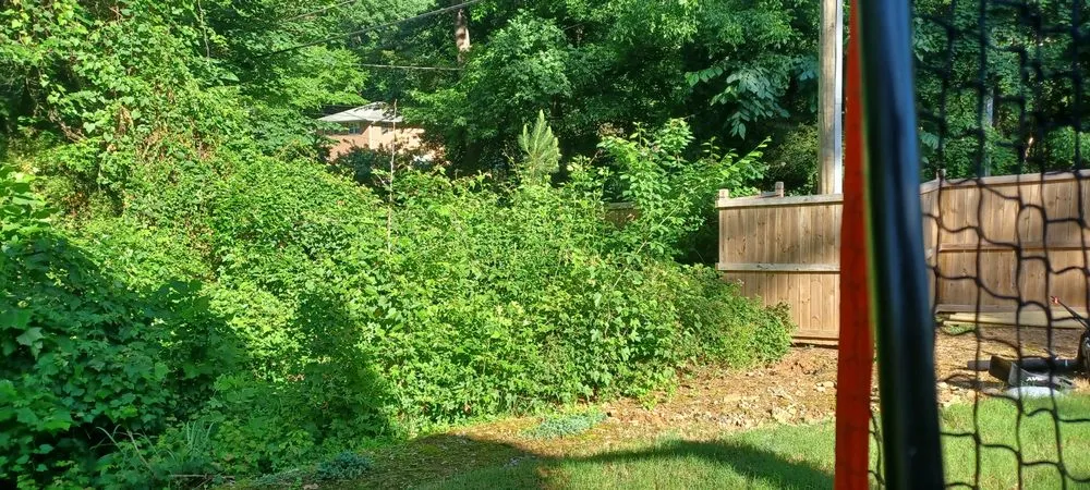 Trusted residential landscaping for year-round maintenance across Norcross, GA - Overgrown Backyards
