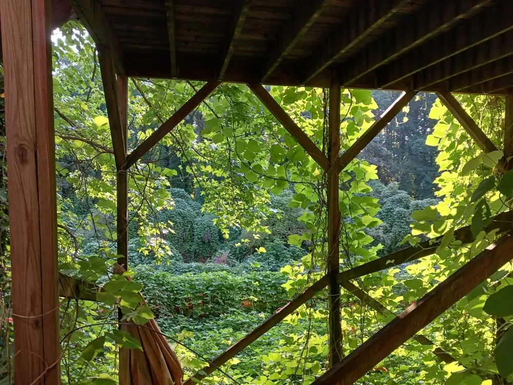 Affordable landscaping services for residential properties across Norcross, GA - Overgrown Backyards