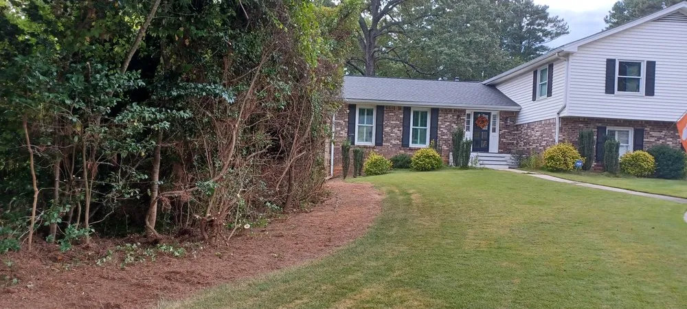 Professional lawn care service for homes across Norcross, GA - Overgrown Backyards