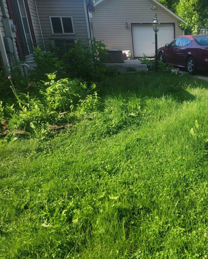 Custom lawn care service in Stanhope, IA - Overgrown Lawn Care & Clean-Up