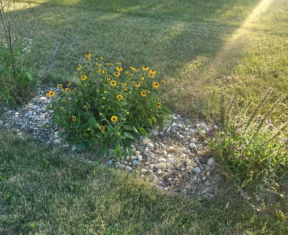 Expert landscape design with custom design in Stanhope, IA by Overgrown Lawn Care & Clean-Up