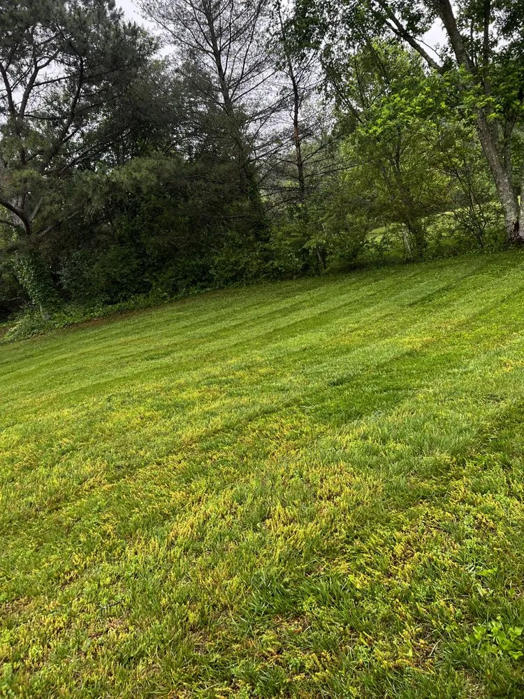 Trusted landscaping services near you across Martin, GA - Overgrown Lawn Care