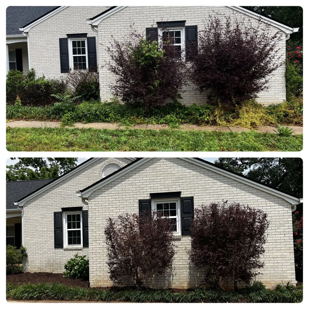 Expert garden landscaping near you across Martin, GA - Overgrown Lawn Care