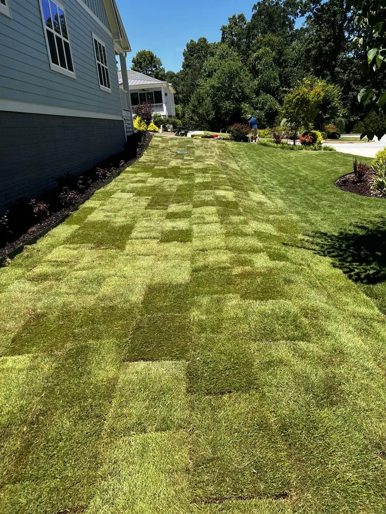 Trusted landscape design in Martin, GA - Overgrown Lawn Care