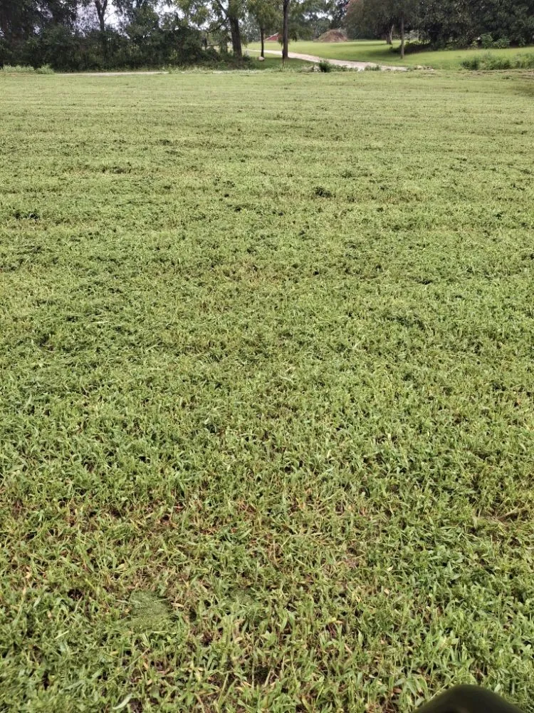 Trusted outdoor landscaping experts serving Westminster, SC - Overholts Lawn Care