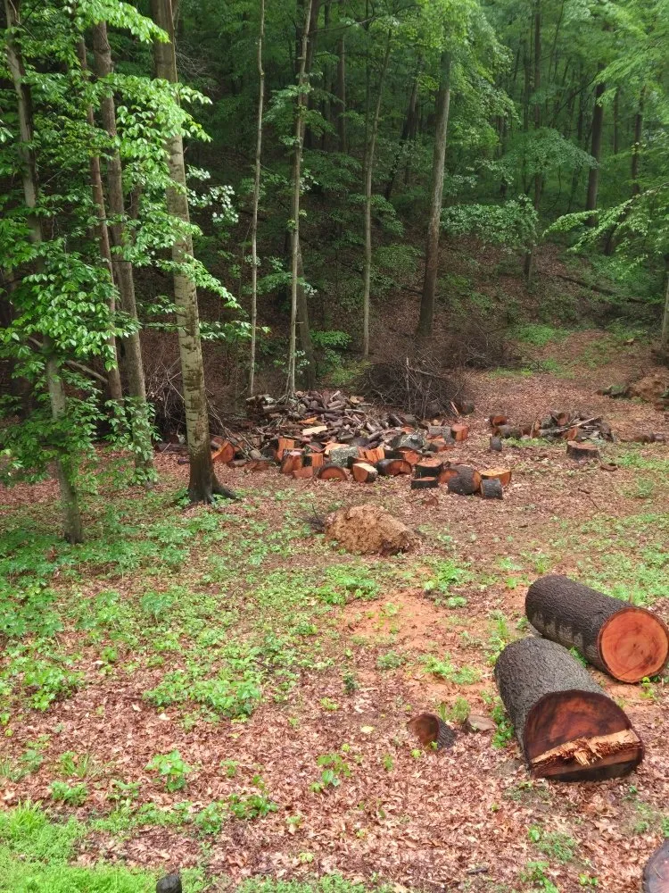 Trusted landscaping services experts serving Wheelersburg, OH - OverTime Exterior Solutions