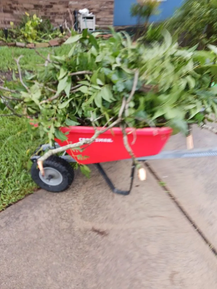 Top-rated landscape design experts serving Highlands, TX - Overturf Lawncare