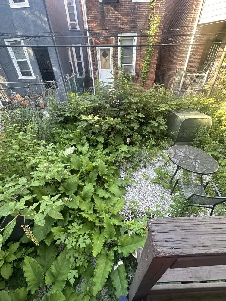 Reliable yard maintenance in Philadelphia, PA - Overview New Look