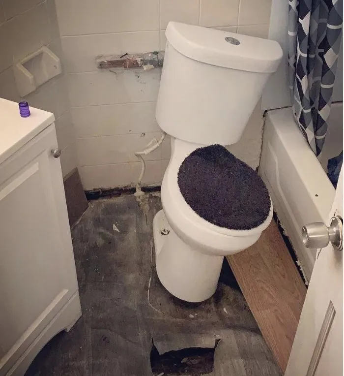 Local landscaping services experts serving Philadelphia, PA - Overview New Look