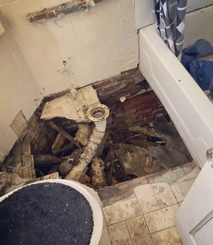 Trusted landscaping services for beautiful yards across Philadelphia, PA - Overview New Look