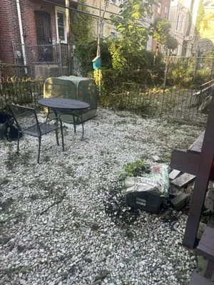 Overview New Look Logo