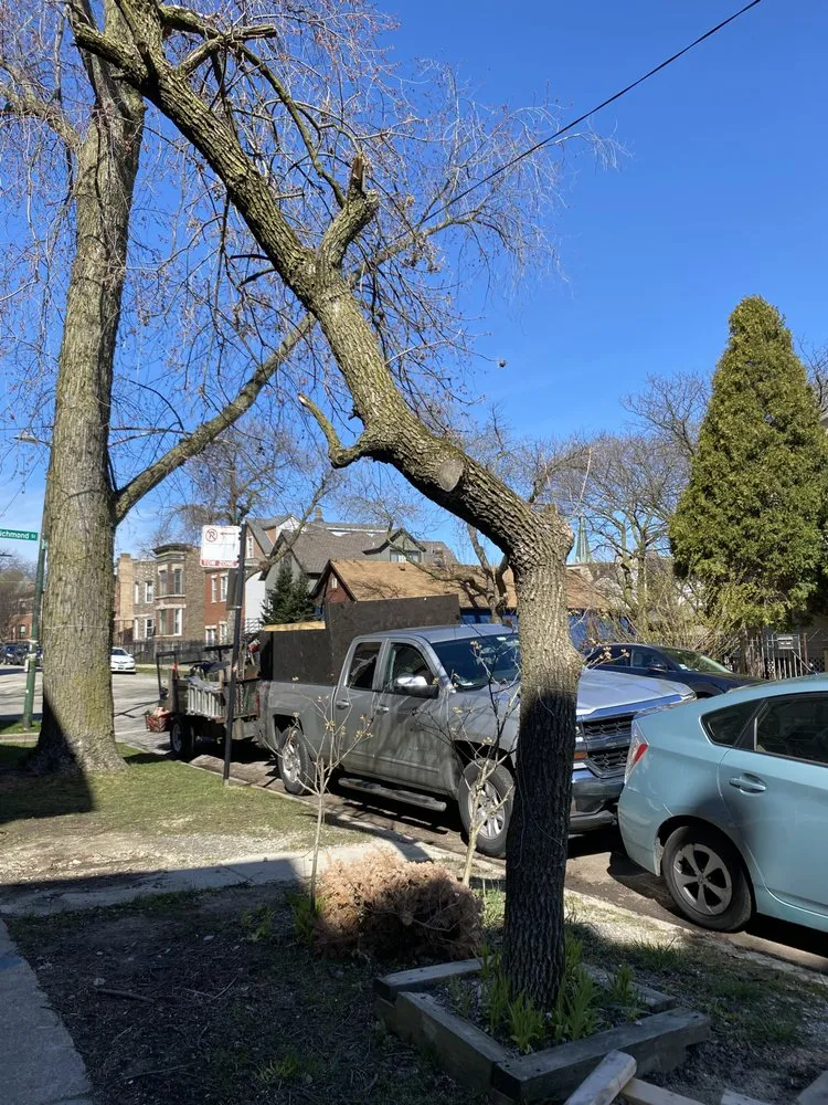 Local yard cleanup service in Skokie, IL by OVT Landscaping