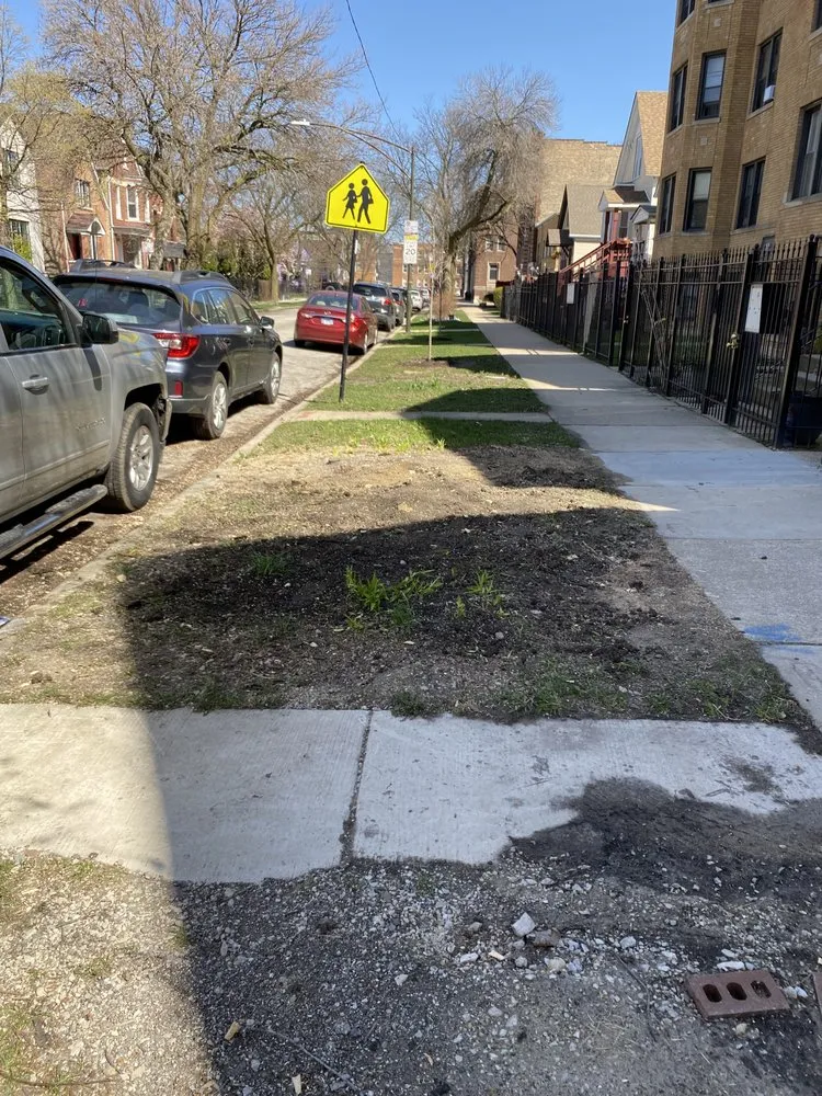 Custom yard cleanup service experts serving Skokie, IL - OVT Landscaping