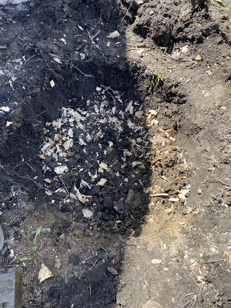 Trusted landscaping services near you in Skokie, IL by OVT Landscaping