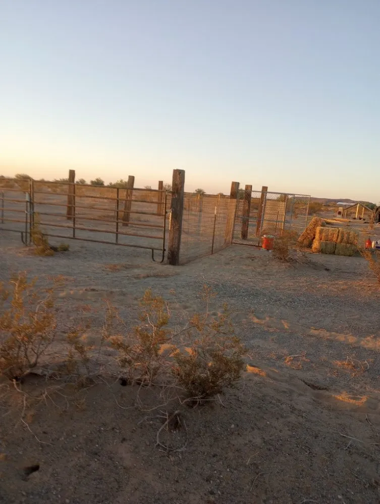 Top-rated yard cleanup service in Salome, AZ by Owen Hart's Salome Landscaping