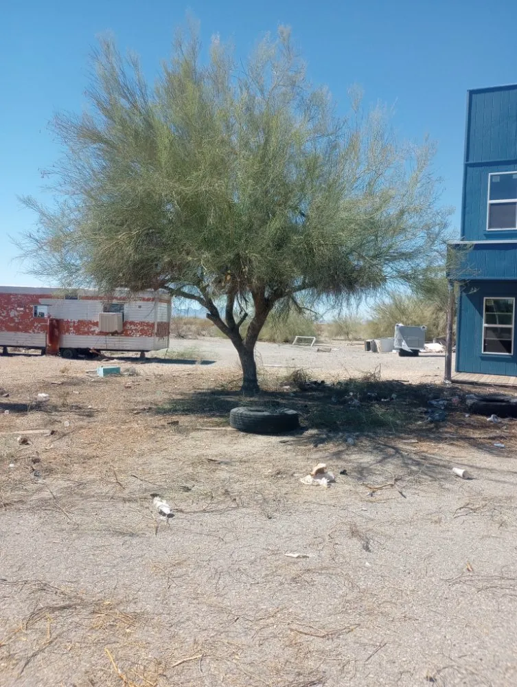 Affordable yard cleanup service with custom design in Salome, AZ by Owen Hart's Salome Landscaping