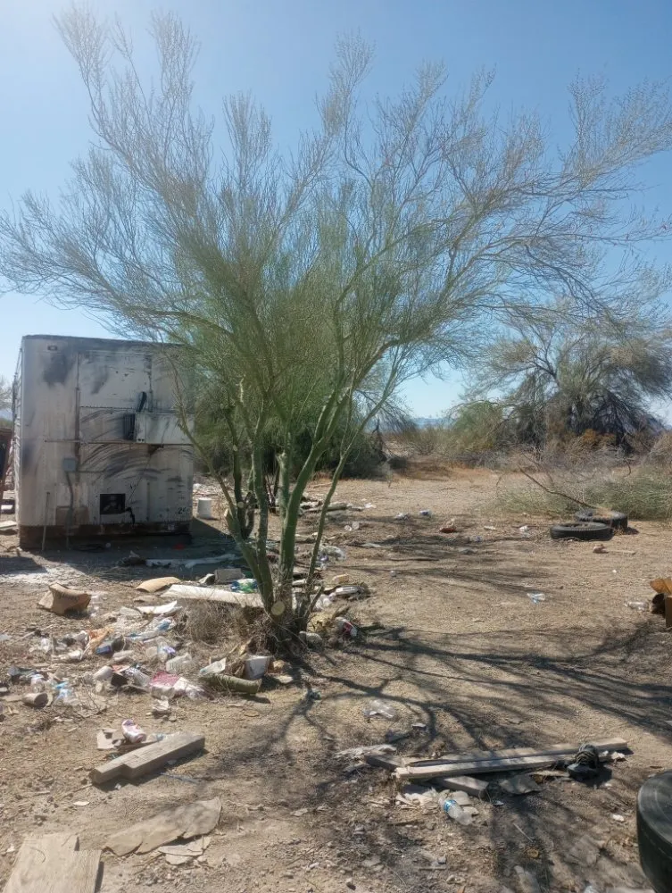 Reliable garden landscaping with custom design across Salome, AZ - Owen Hart's Salome Landscaping