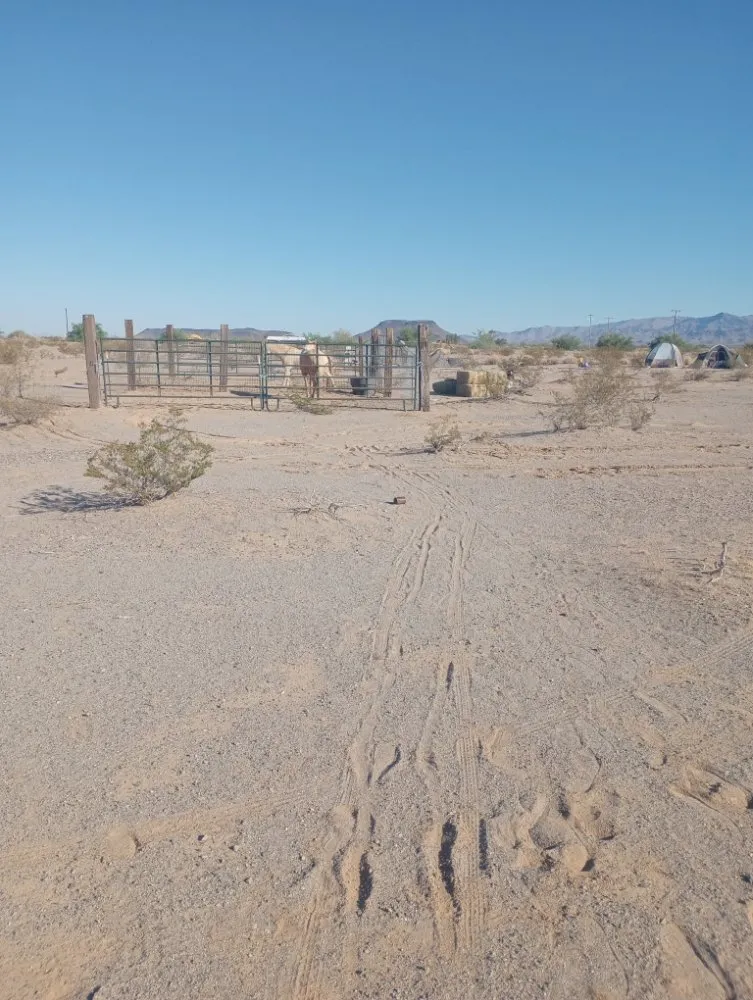 Trusted landscape installation experts serving Salome, AZ - Owen Hart's Salome Landscaping