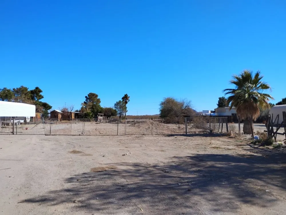 Professional lawn care service in Salome, AZ by Owen Hart's Salome Landscaping