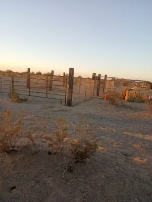 Owen Hart's Salome Landscaping