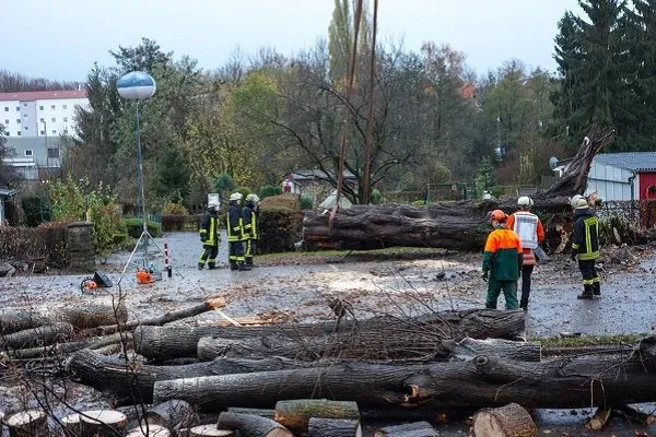 Trusted landscaping services for homes across Youngstown, NY - Owen Tree and Landscaping