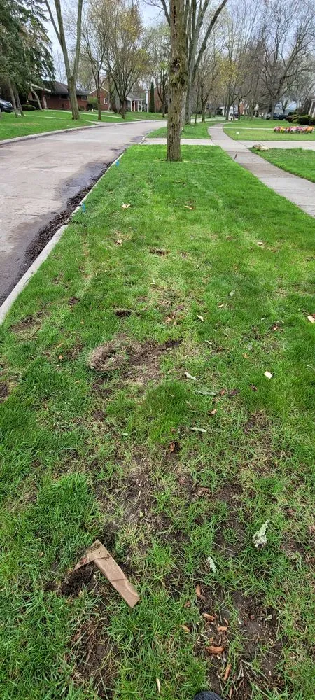 Custom landscaping services for outdoor upgrades in Attica, MI by Owen Tree Service